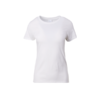 Gildan Premium Cotton Ladies Round Neck Tee in white