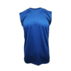 Basic Quick Dry Minimesh 150gsm Sleeveless Tee QDS50 in twilight blue