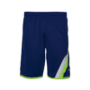 Goodwin Short Pants 1005 in green