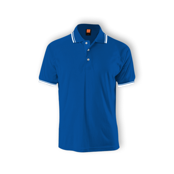 HC10-royalblue