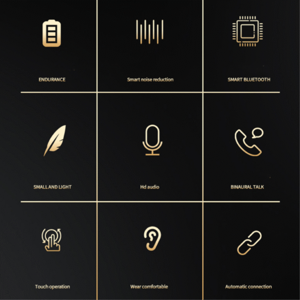 Hook ear TWS earphone in black with charging case - info