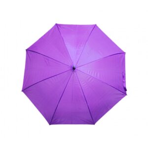 RainEase 24” J-Handle Umbrella UM29