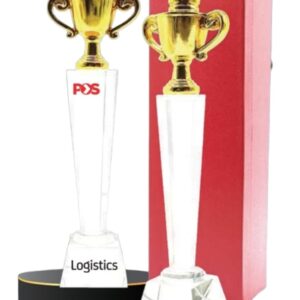 Resin Excellence Trophy SV41