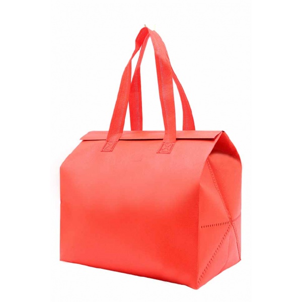 insulated non woven bag singapore nw33-red